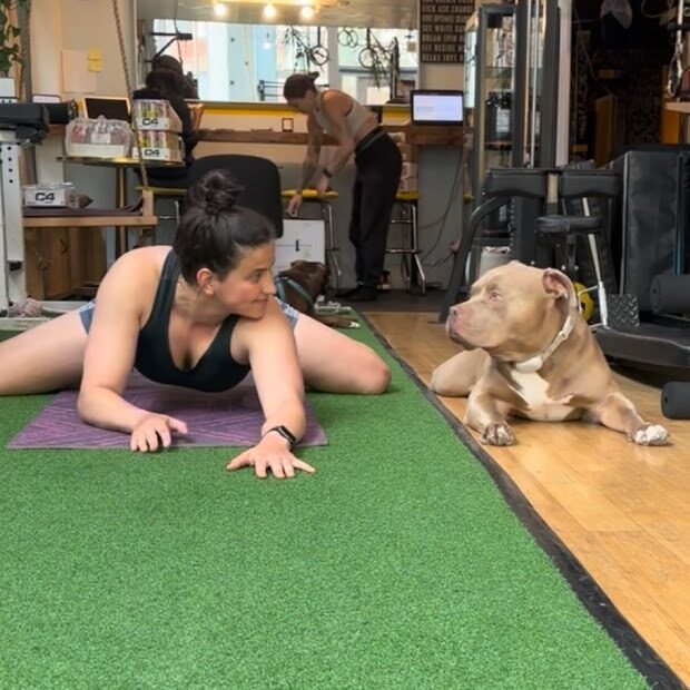 Client Stretching with a Dog
